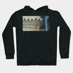 James V Statue, Royal Palace, Stirling Castle Hoodie